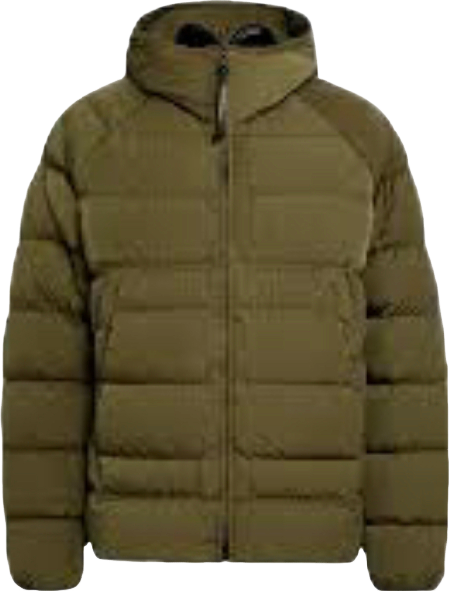 Doudoune CP Green Éco chrome R hooded Down jacket